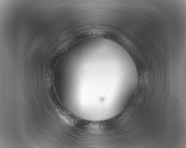 X0000079340464200612011938