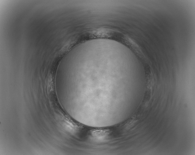 X0000079340465200612011938