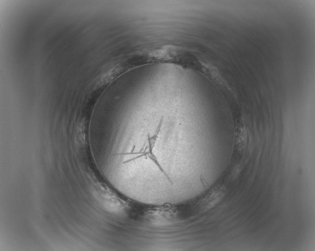 X0000079340466200612011938