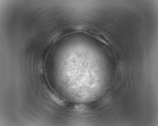 X0000079340470200612011938