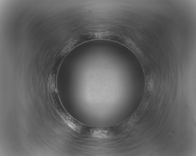 X0000079340471200612011938