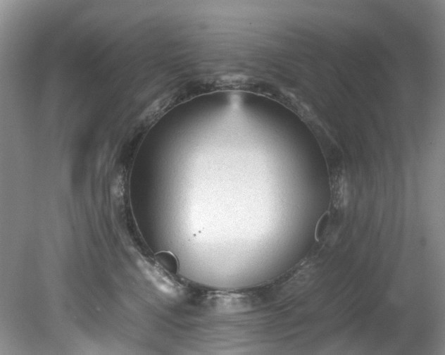 X0000079340472200612011938