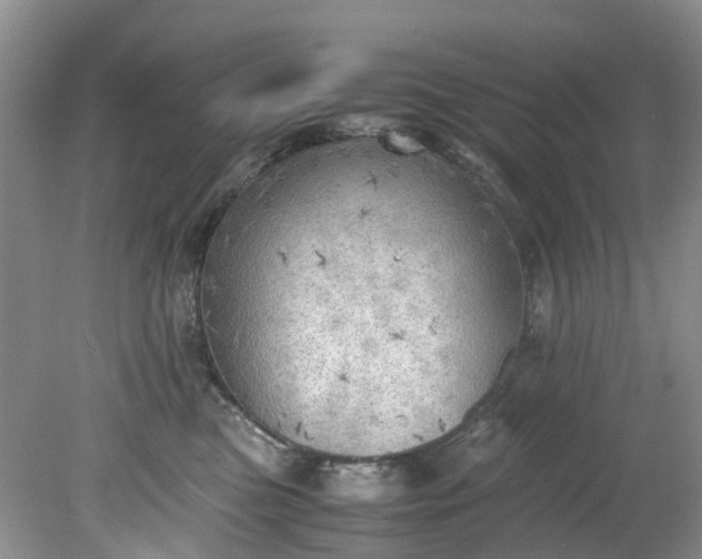 X0000079340473200612011938