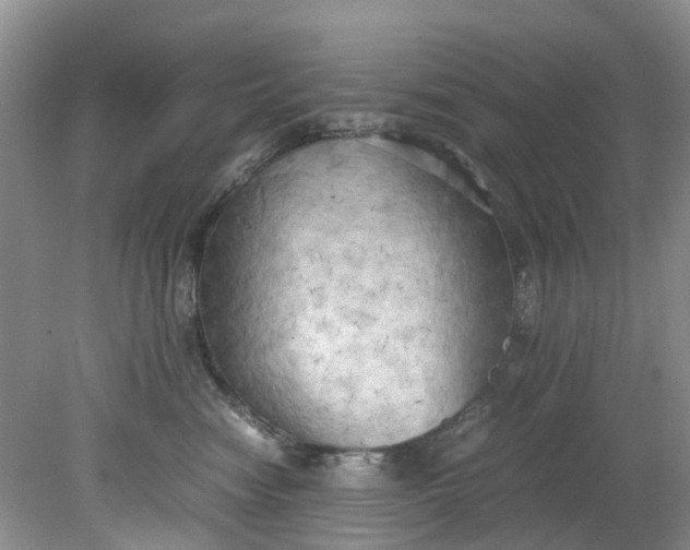 X0000079340474200612011938