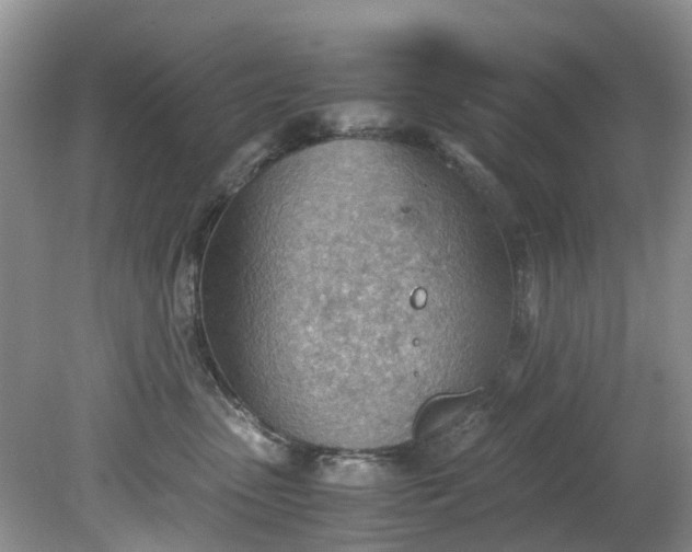 X0000079340475200612011938