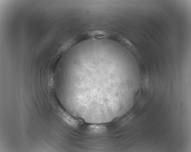 X0000079340477200612011938