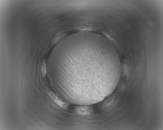 X0000079340479200612011938