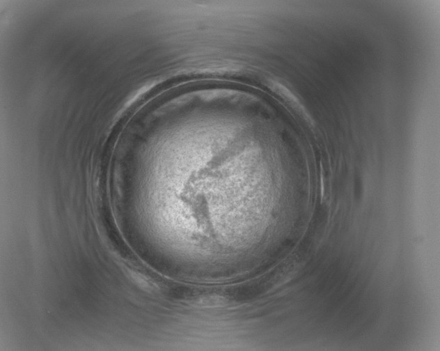 X0000079340483200612011938