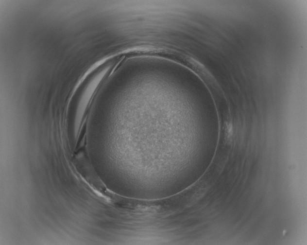 X0000079340484200612011938