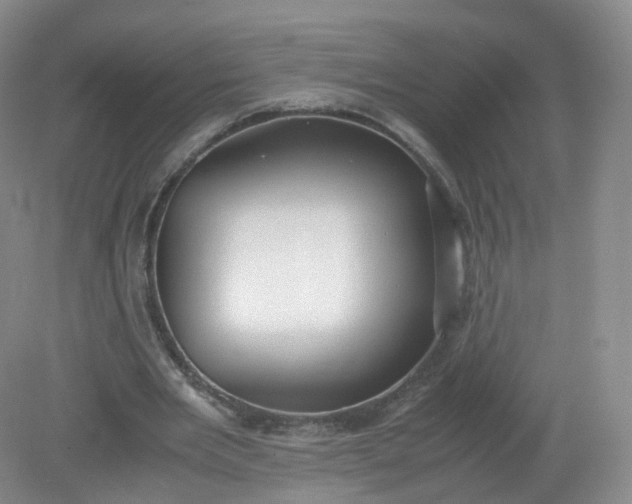 X0000079340485200612011938