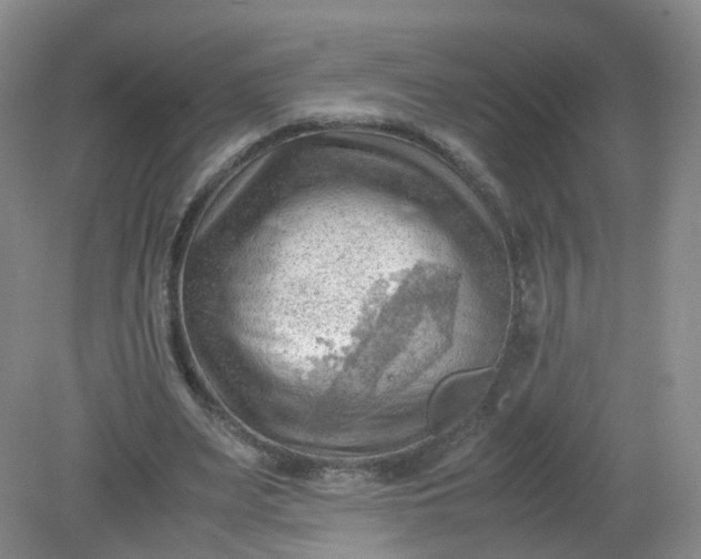 X0000079340487200612011938