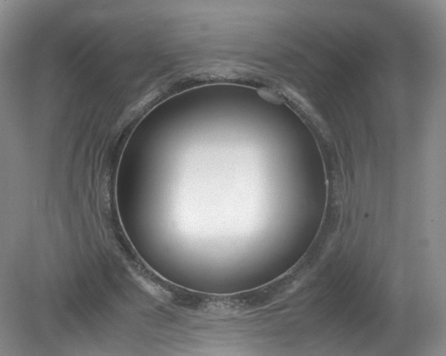 X0000079340489200612011938