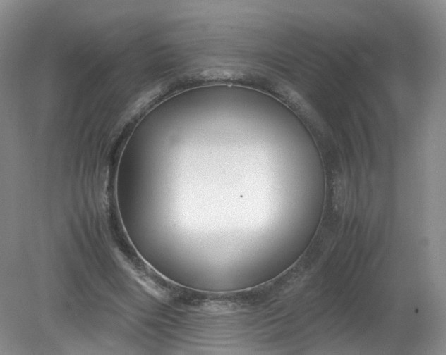 X0000079340490200612011938