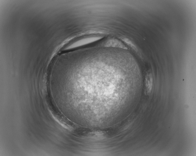 X0000079340492200612011937