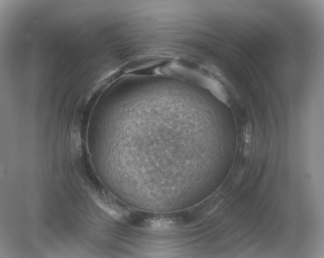 X0000079340500200612011937