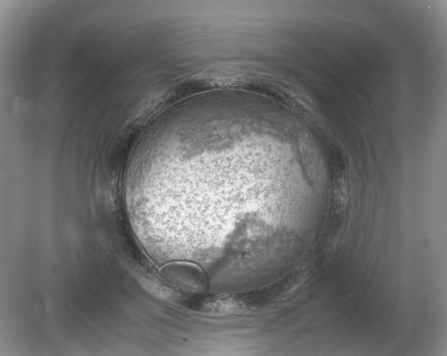 X0000079340503200612011937