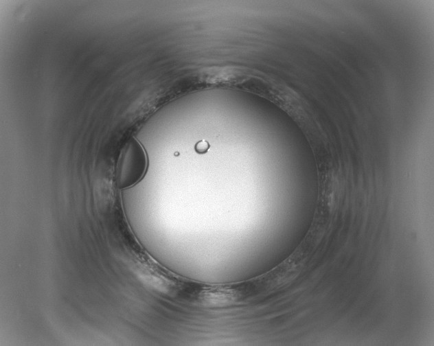 X0000079340510200612011937