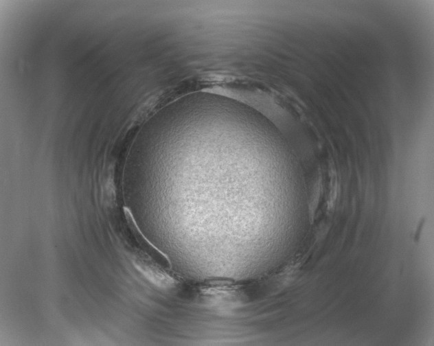 X0000079340516200612011937