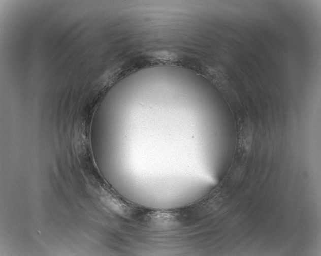 X0000079340518200612011937