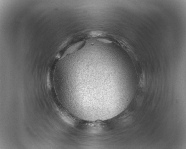 X0000079340524200612011937