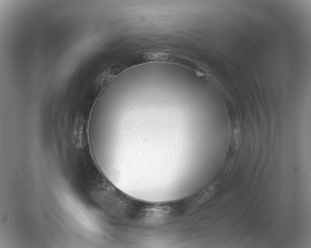 X0000079340525200612011937