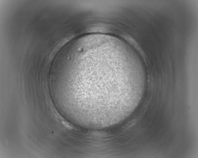 X0000079340529200612011936