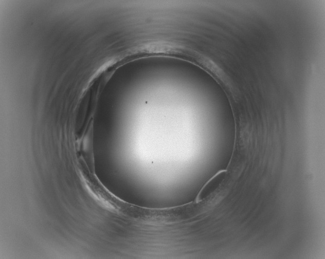 X0000079340530200612011936