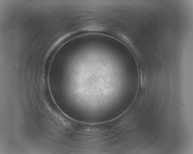 X0000079340531200612011936