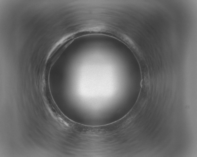 X0000079340532200612011936