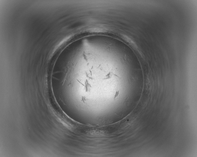 X0000079340535200612011936