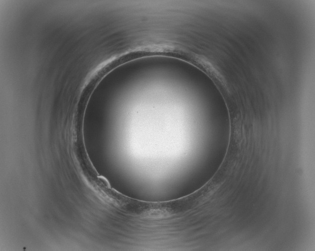 X0000079340536200612011936