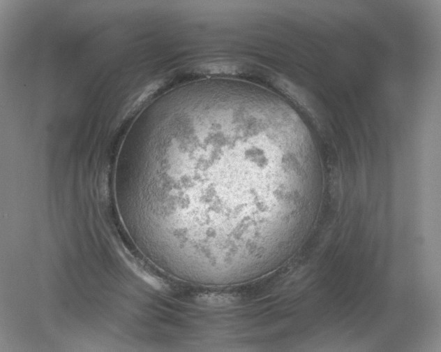 X0000079340537200612011936