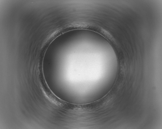 X0000079340538200612011936