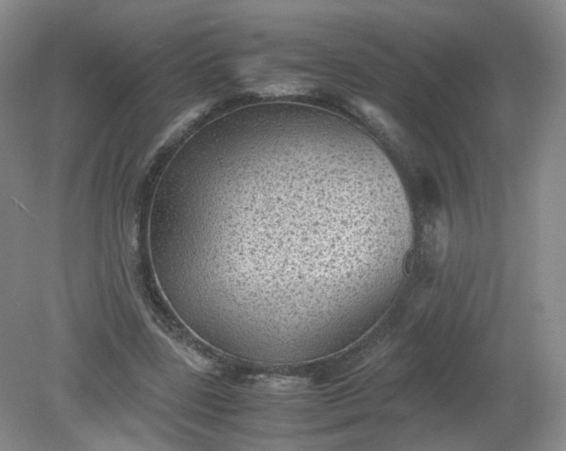 X0000079340539200612011936