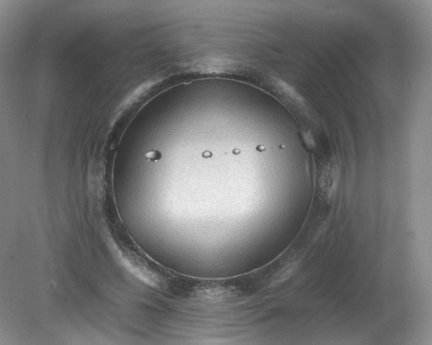 X0000079340540200612011936