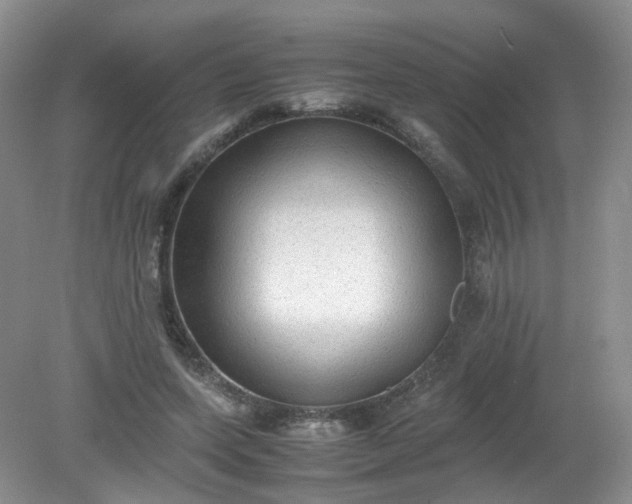 X0000079340543200612011936