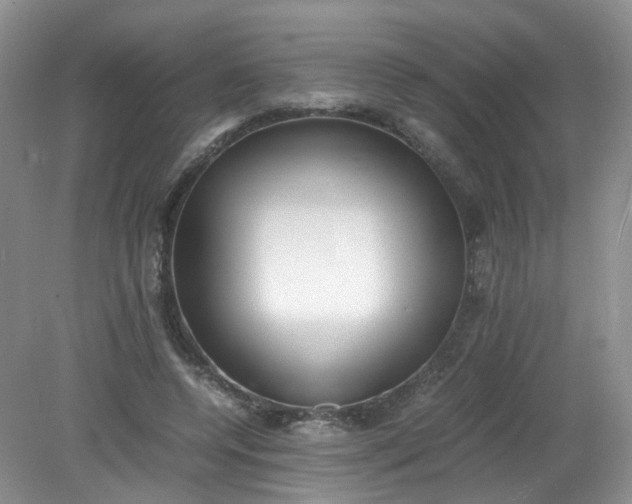 X0000079340544200612011936