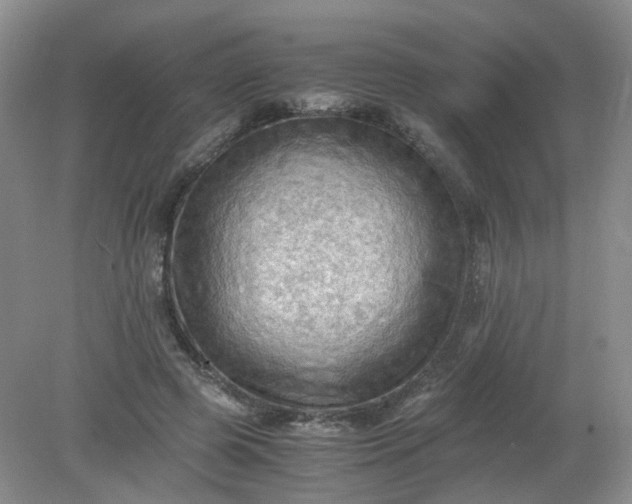 X0000079340545200612011936