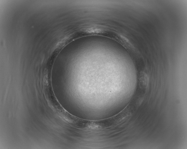 X0000079340547200612011936