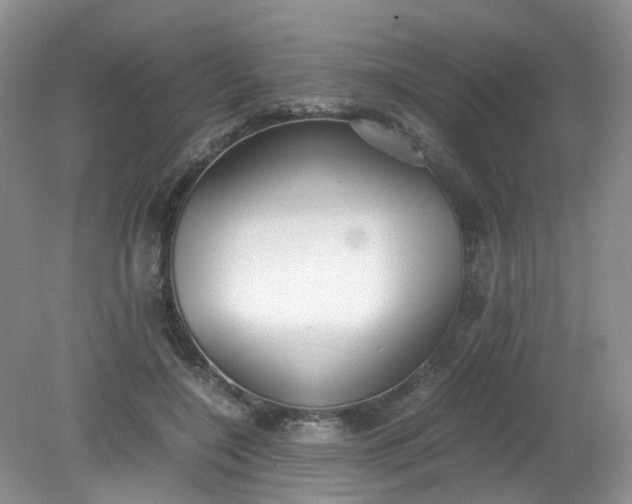 X0000079340548200612011936