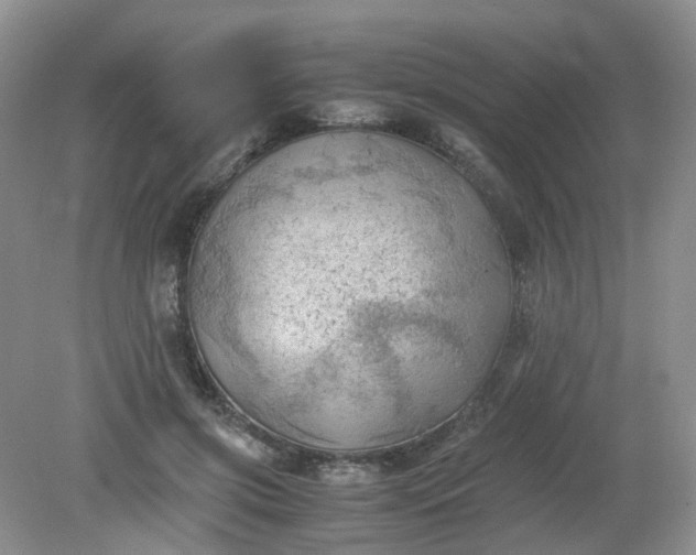 X0000079340549200612011936