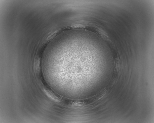 X0000079340550200612011936