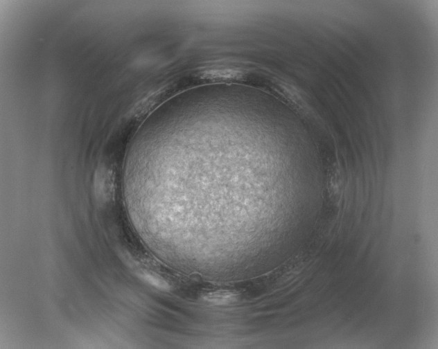 X0000079340551200612011936