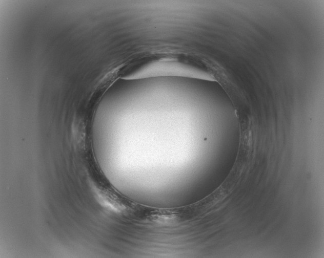 X0000079340552200612011936