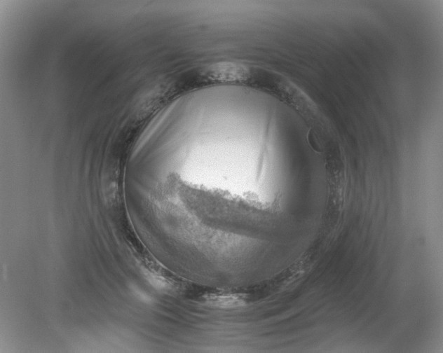 X0000079340553200612011936