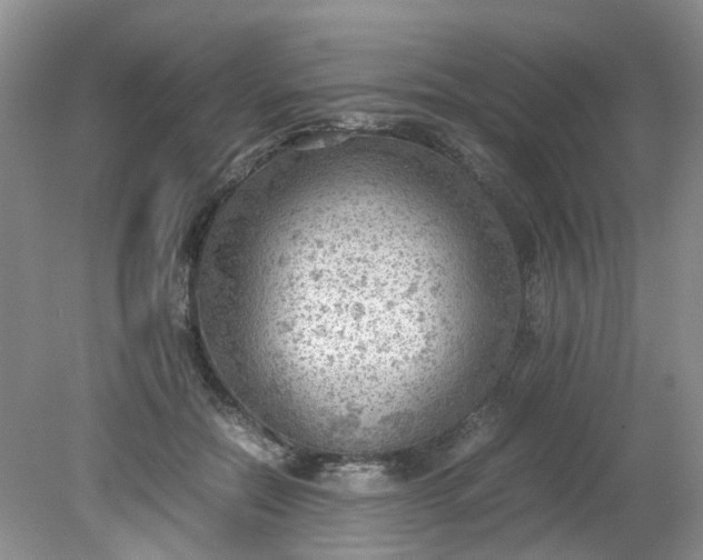 X0000079340554200612011936