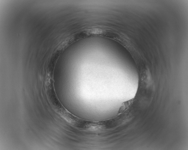 X0000079340555200612011936