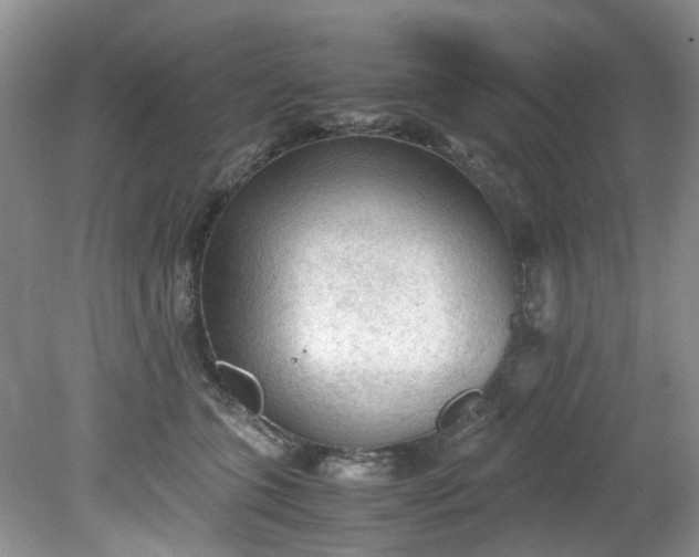 X0000079340563200612011937