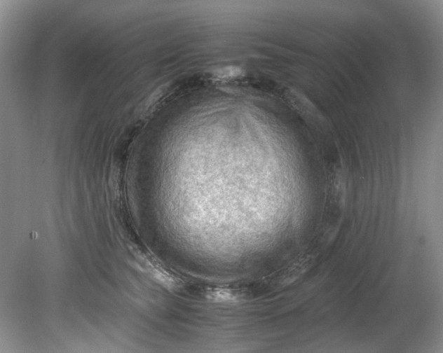 X0000079340565200612011937