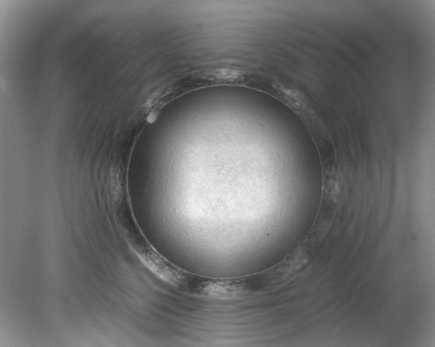 X0000079340568200612011937